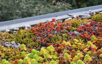 the cost of Chetnole green roof installation