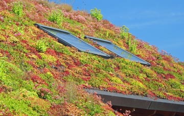 Chetnole living roof systems