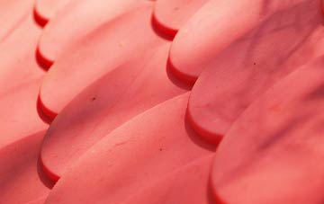 Chetnole plastic roof costs