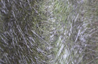 Chetnole fibreglass roof work